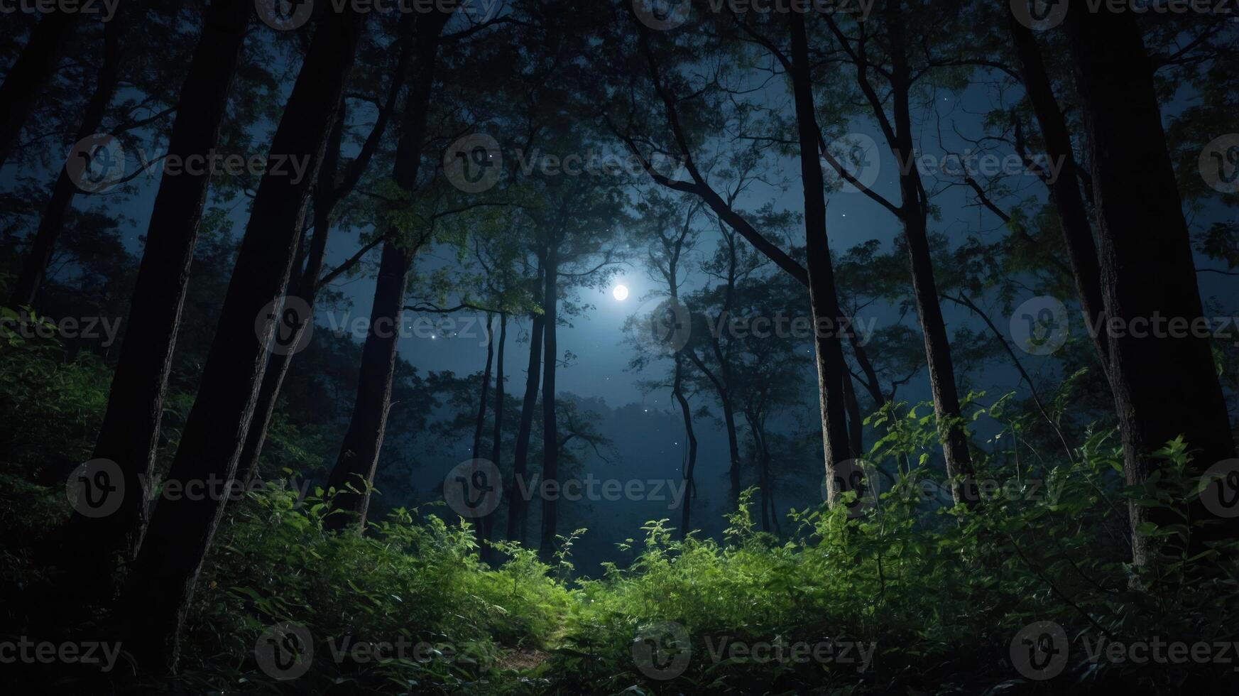 A serene moonlit forest with tall trees and lush greenery, evoking tranquility and mystery. photo