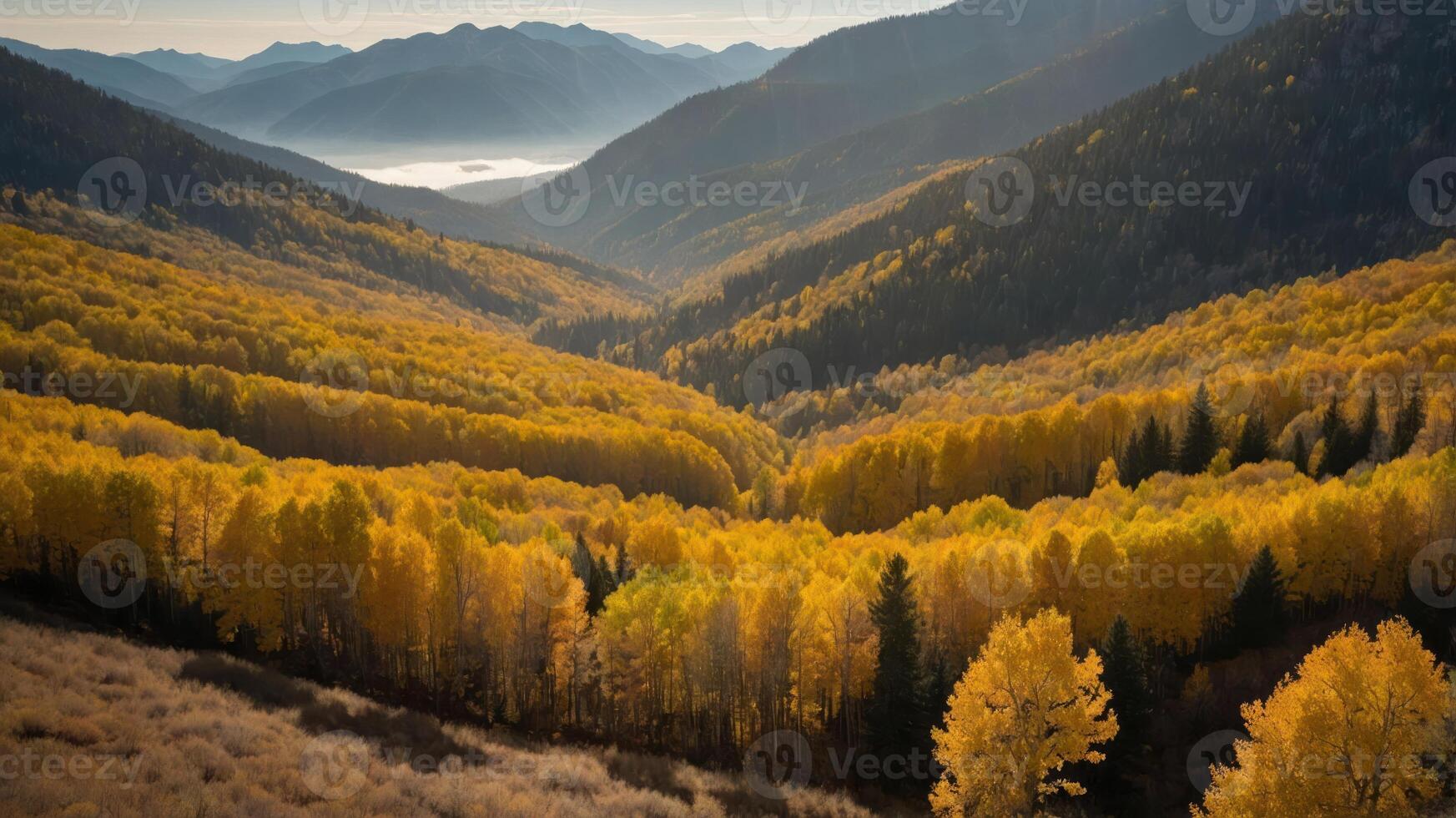 A scenic view of a valley filled with vibrant autumn foliage under soft sunlight. photo