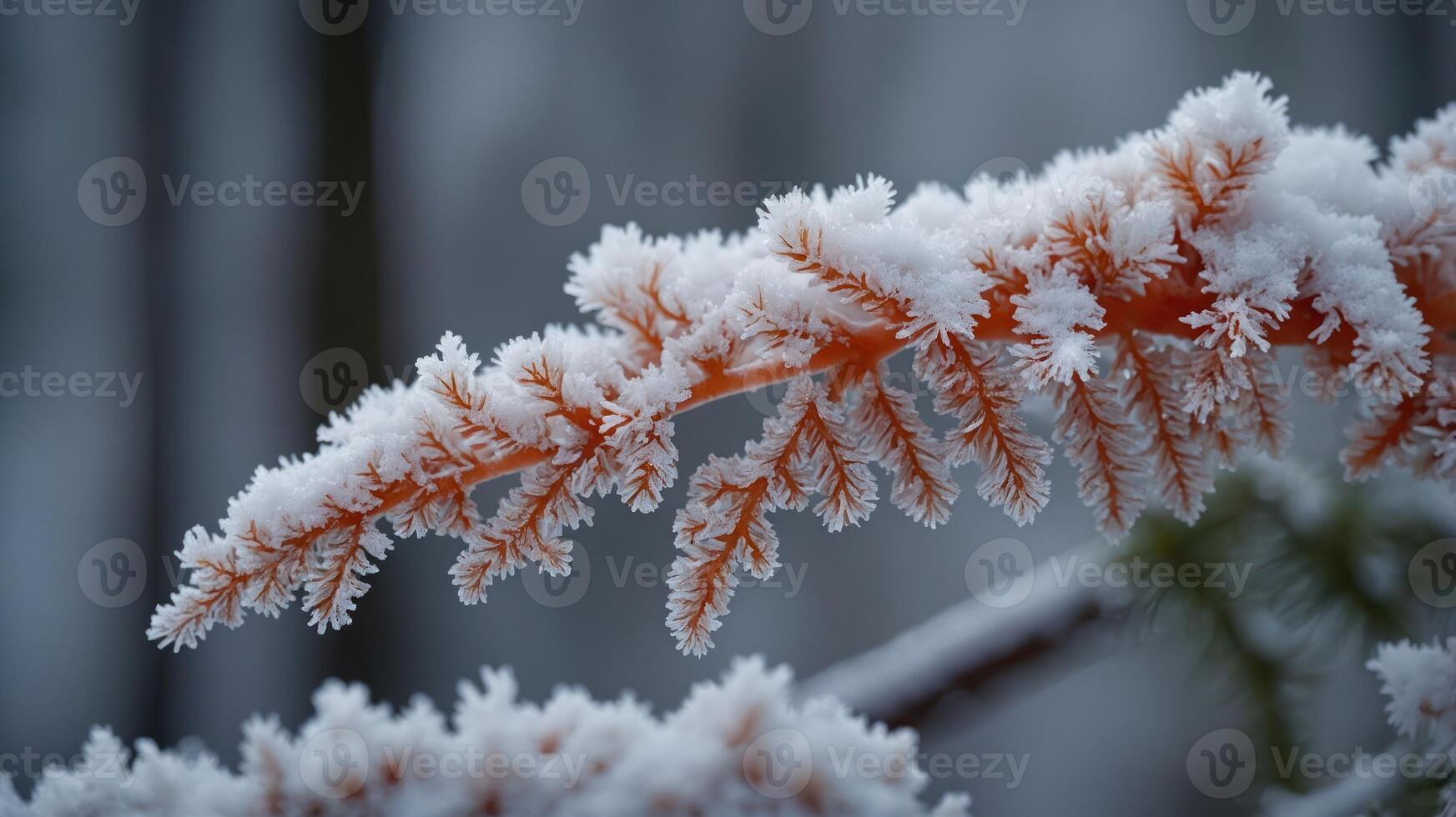 A close-up of a frosted branch showcasing intricate ice crystals. photo