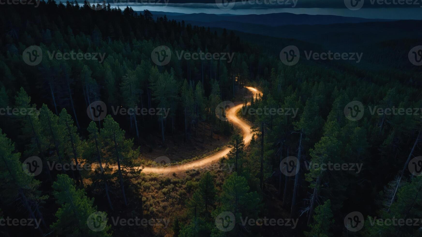 A winding road illuminated through a dense forest at night. photo