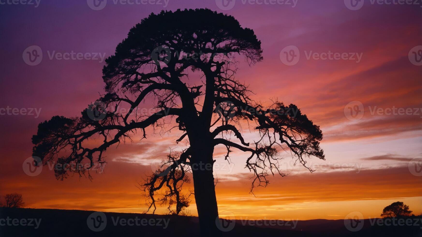 A silhouette of a tree against a vibrant sunset sky with hues of purple and orange. photo