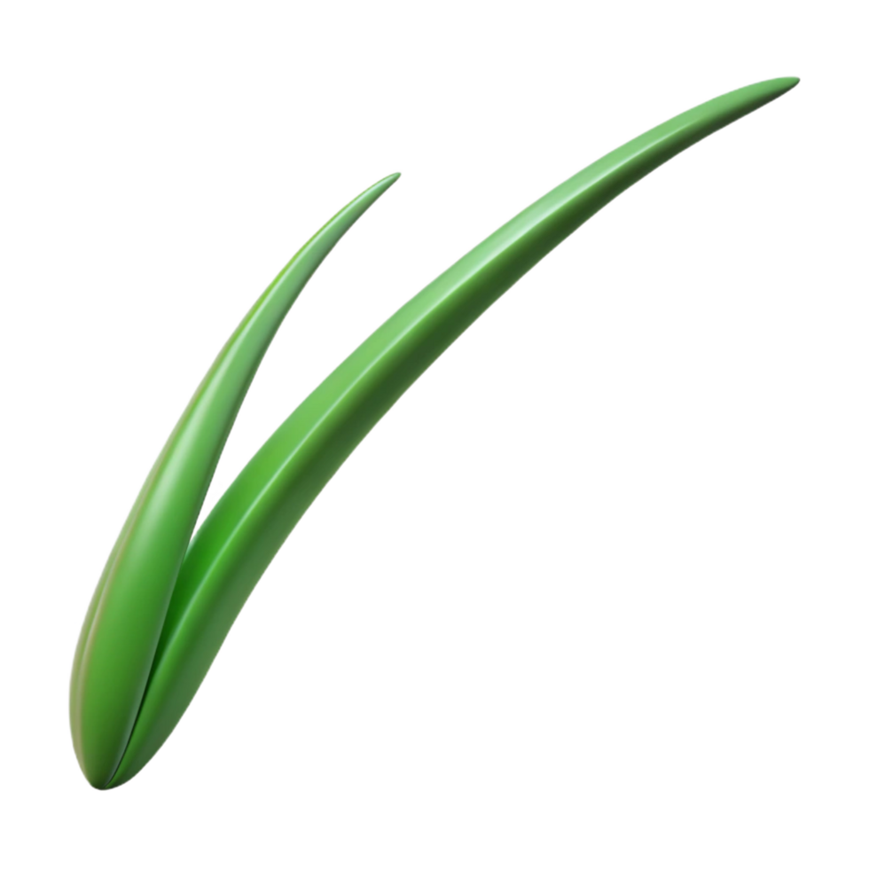 gorgeous romantic tropical Single blade of grass NO BACKGROUND with Transparent Background. flawless png