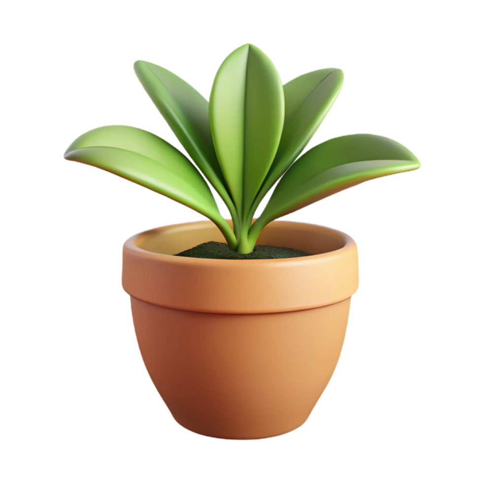 immaculate urban Houseplant in a pot, NO BACKGROUND with Transparent Background. 8K png
