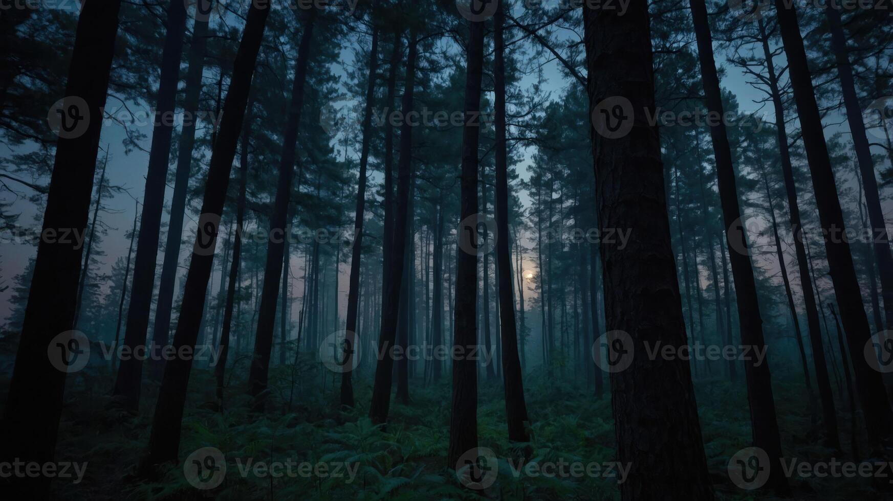 A misty forest scene at dusk, showcasing tall trees and a serene, mysterious atmosphere. photo