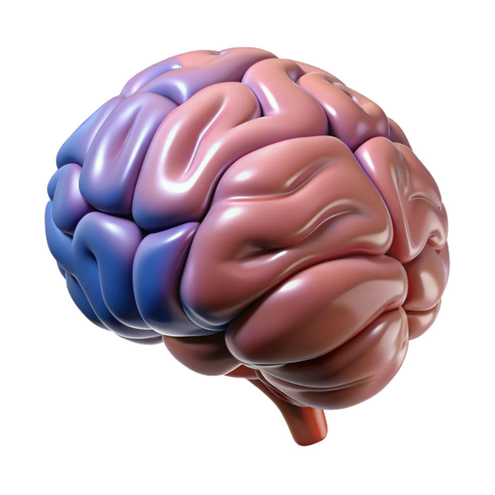 iconic art deco Brain, human, anatomy, NO BACKGROUND with Transparent Background. luxury png