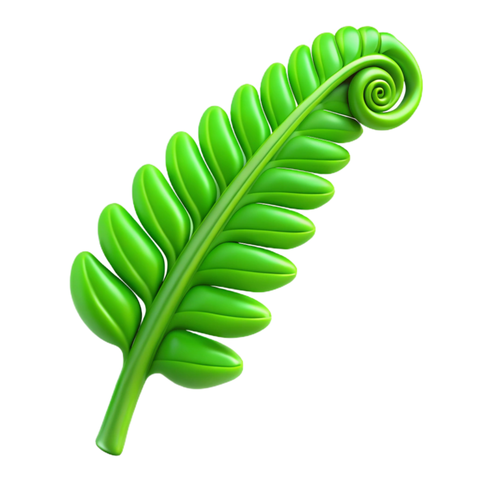 peaceful beautiful Green fern leaf, unfurling. NO BACKGROUND with Transparent Background. artisan png