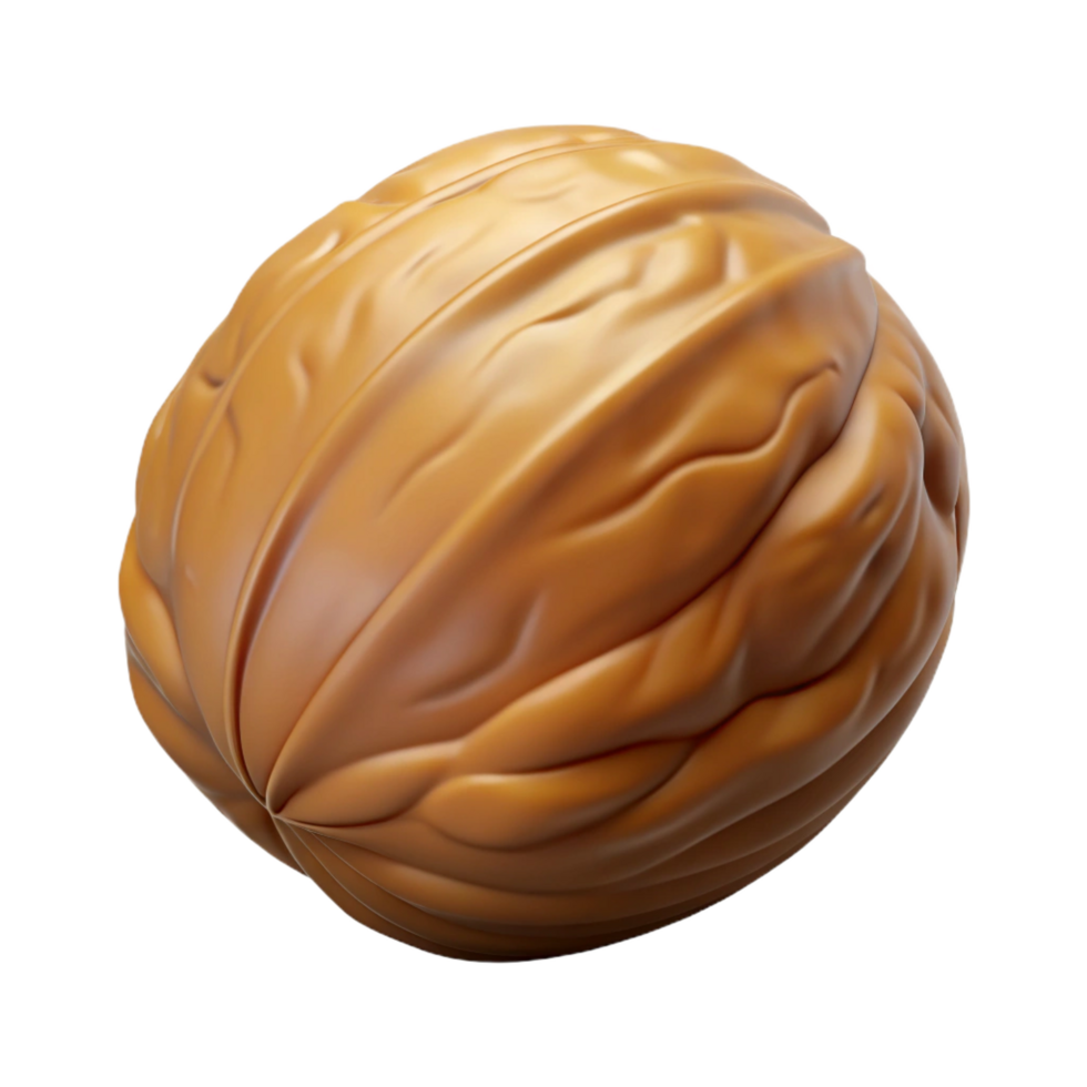 glorious gothic Single walnut, shell intact. NO BACKGROUND with Transparent Background. premium png