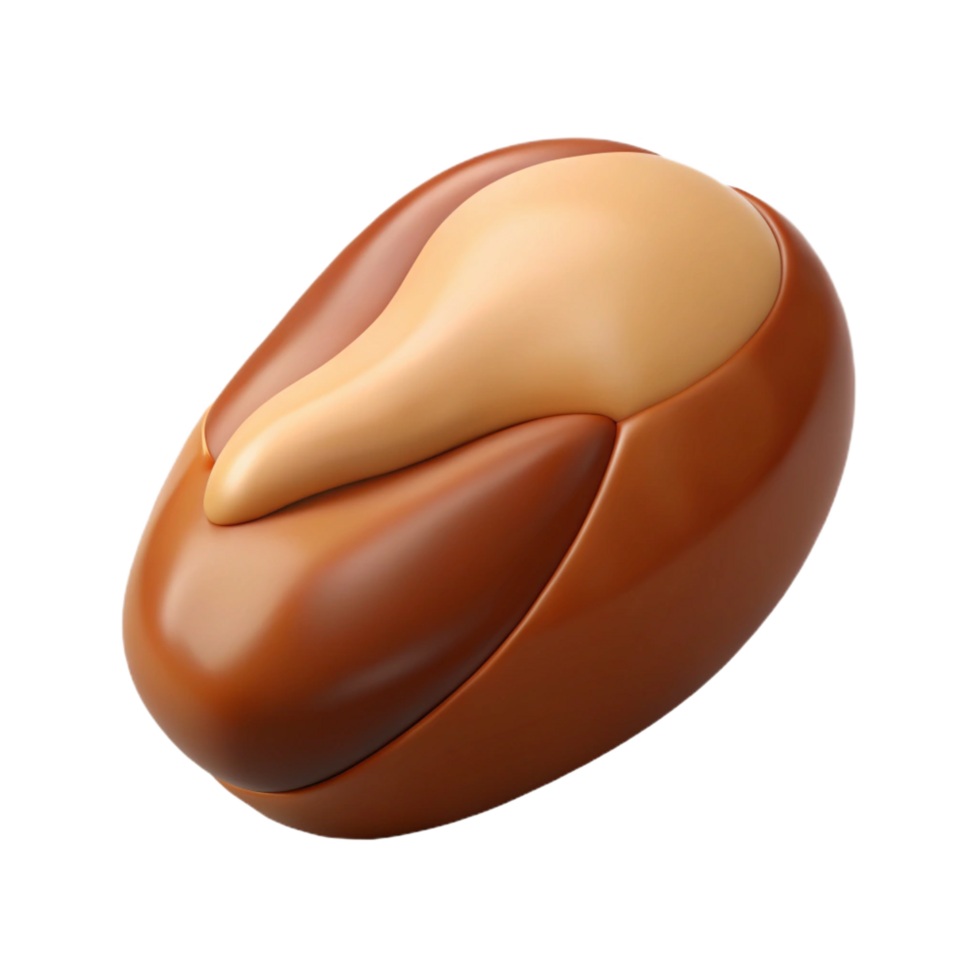 exceptional coastal Brazil nut, single, shelled. NO BACKGROUND with Transparent Background. original png