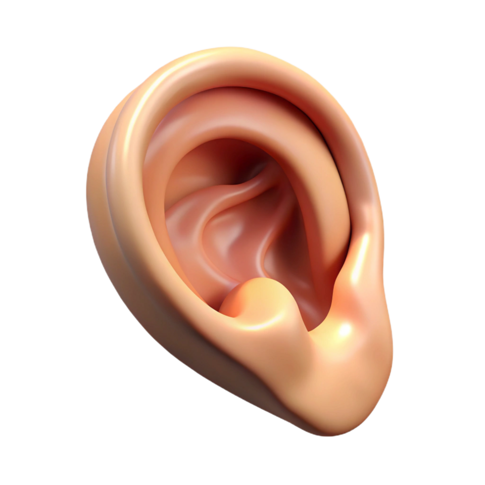dramatic joyful modern A realistic rendering of a single human ear with pointed tip, NO BACKGROUND with Transparent Background. crisp png