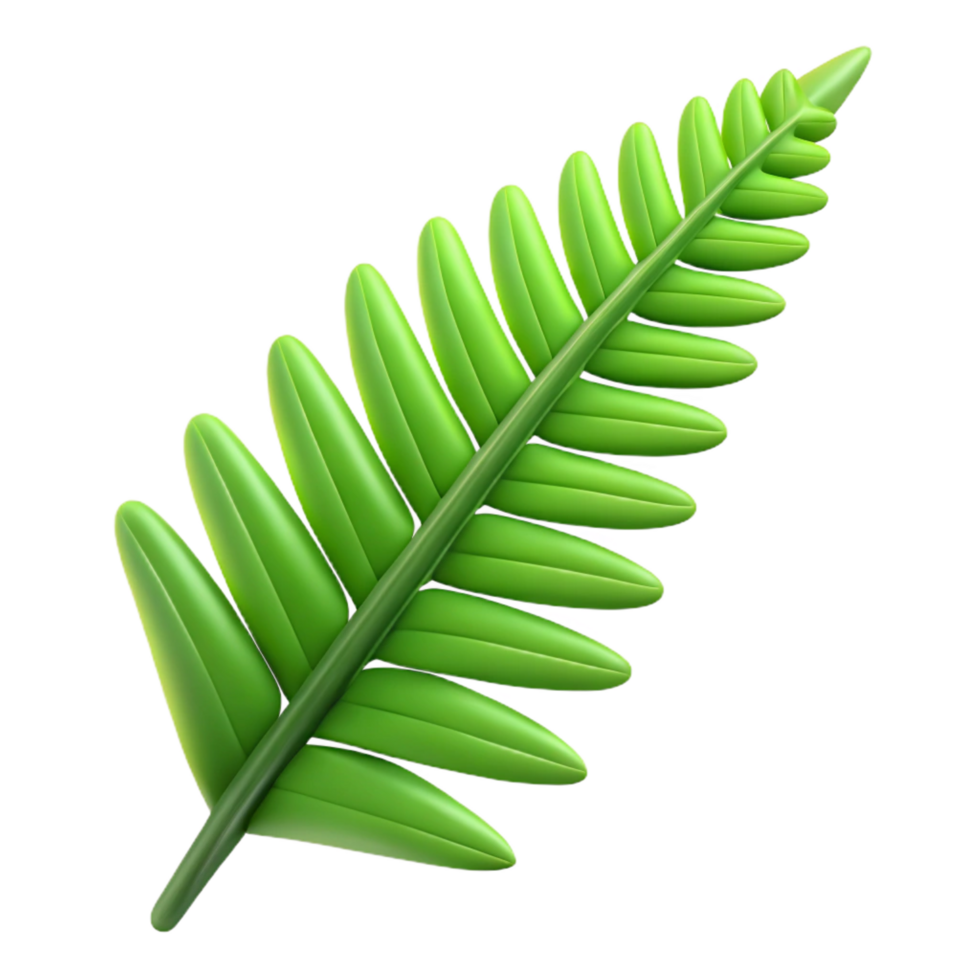exemplary contemporary Fern frond NO BACKGROUND with Transparent Background. 4K png