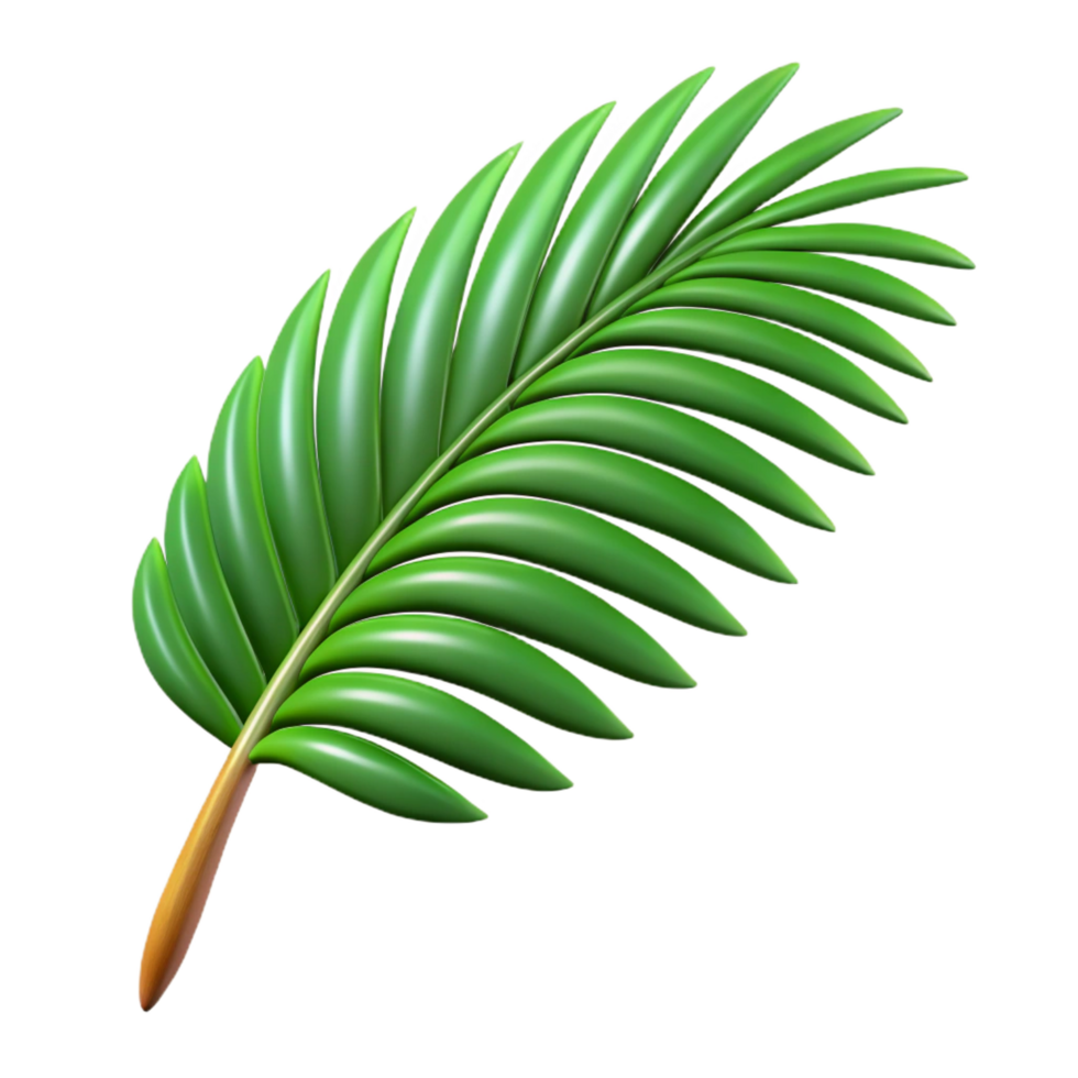 nostalgic radiant Palm leaf NO BACKGROUND with Transparent Background. professional png