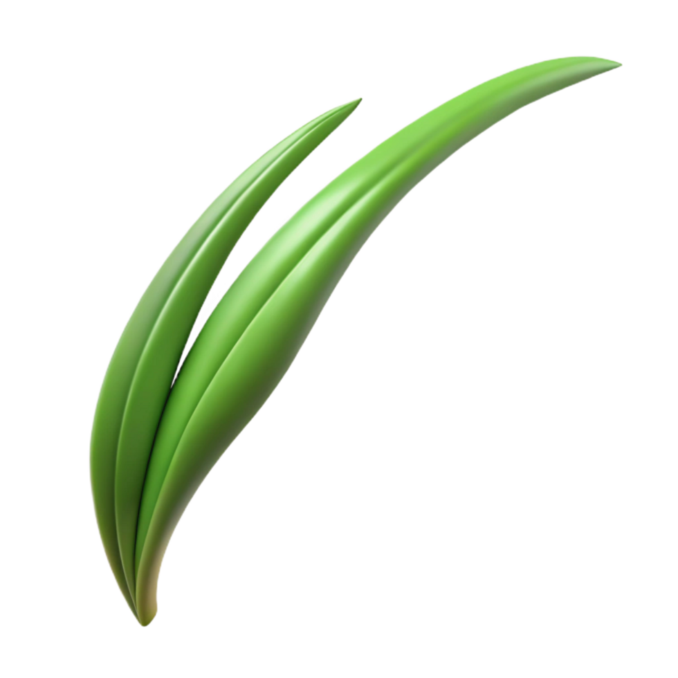 majestic ethereal mid-century Single blade of grass NO BACKGROUND with Transparent Background. museum quality png