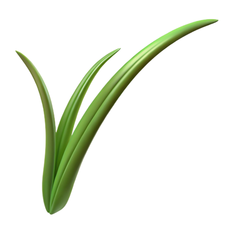 enchanting distinctive Single blade of grass NO BACKGROUND with Transparent Background. png
