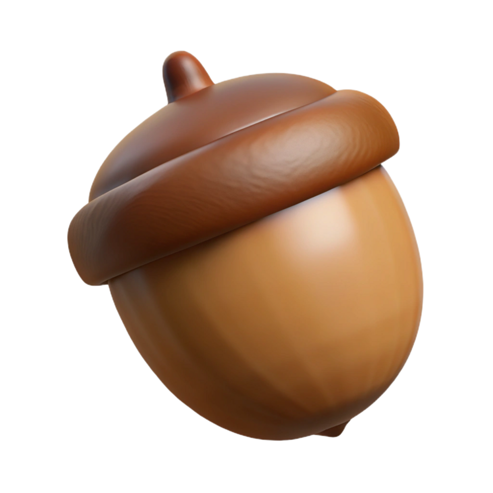 stunning distinguished One brown acorn with cap NO BACKGROUND with Transparent Background. png