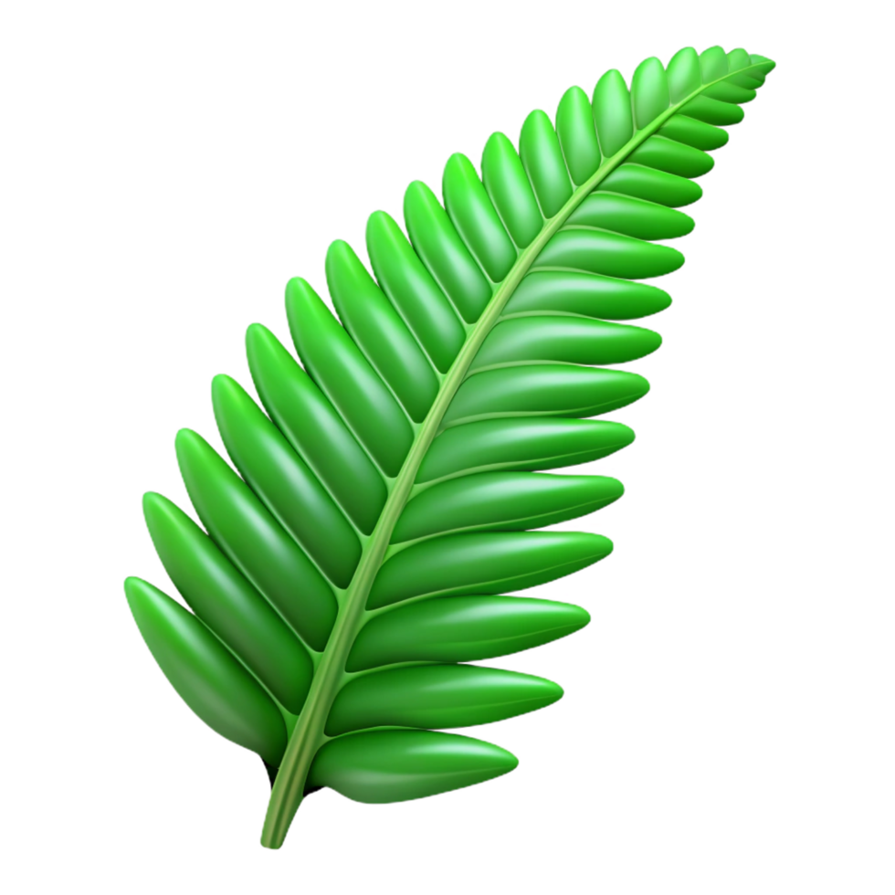radiant gothic Large green fern frond NO BACKGROUND with Transparent Background. high quality png