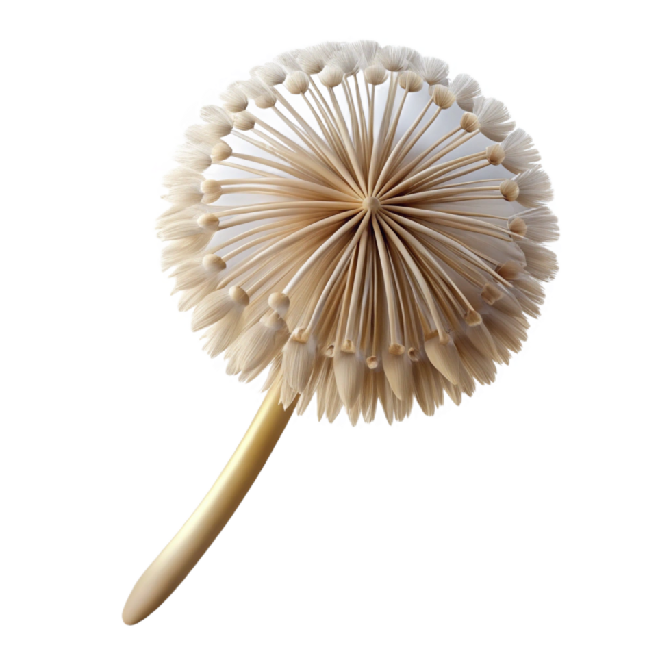 vibrant inspired Single dandelion seedhead NO BACKGROUND with Transparent Background. png