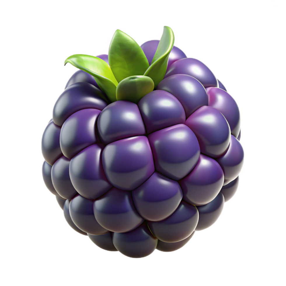 serene gothic Single blackberry NO BACKGROUND with Transparent Background. expertly shot png