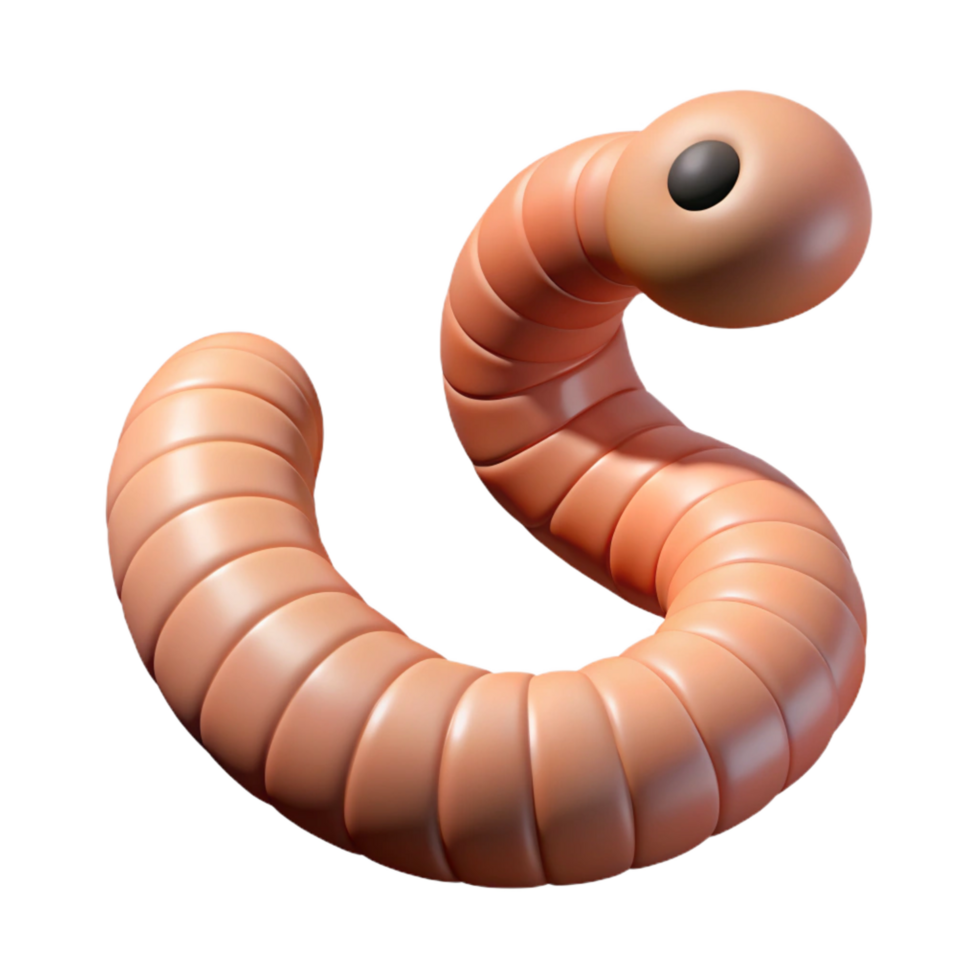 passionate fascinating One earthworm NO BACKGROUND with Transparent Background. genuine png