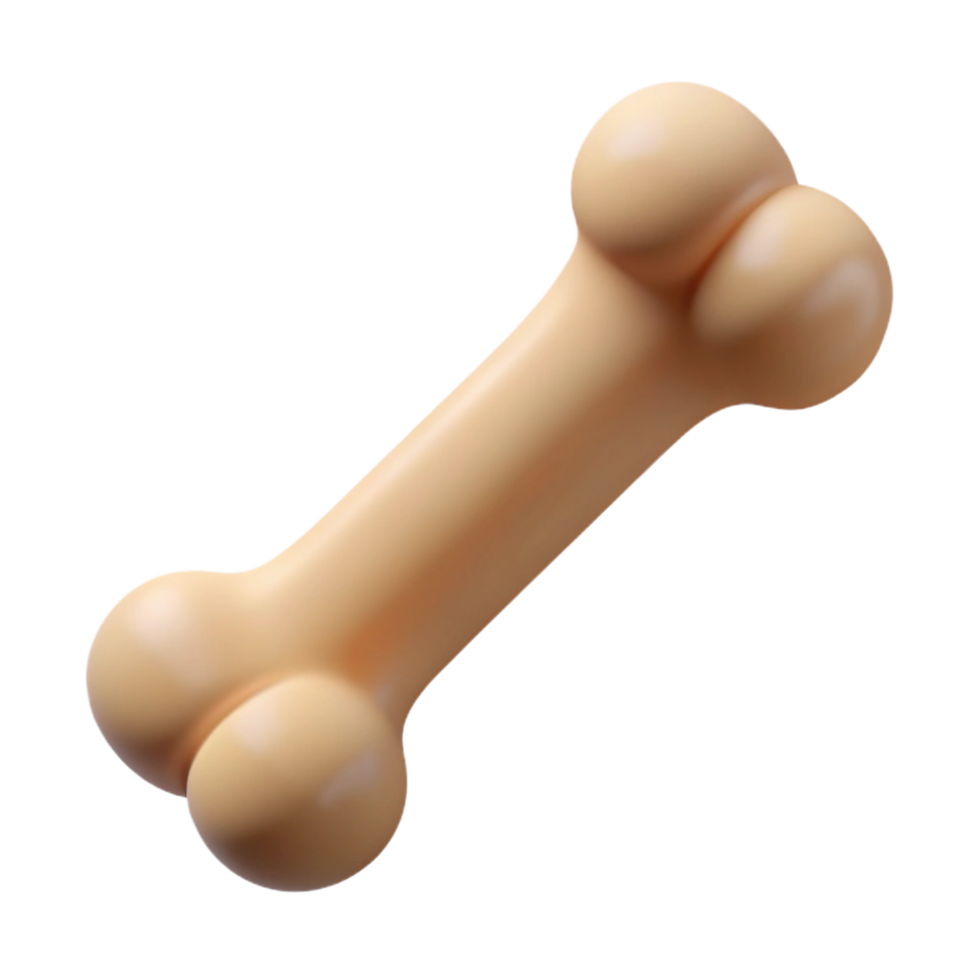 iconic victorian Single bone NO BACKGROUND with Transparent Background. masterfully captured png