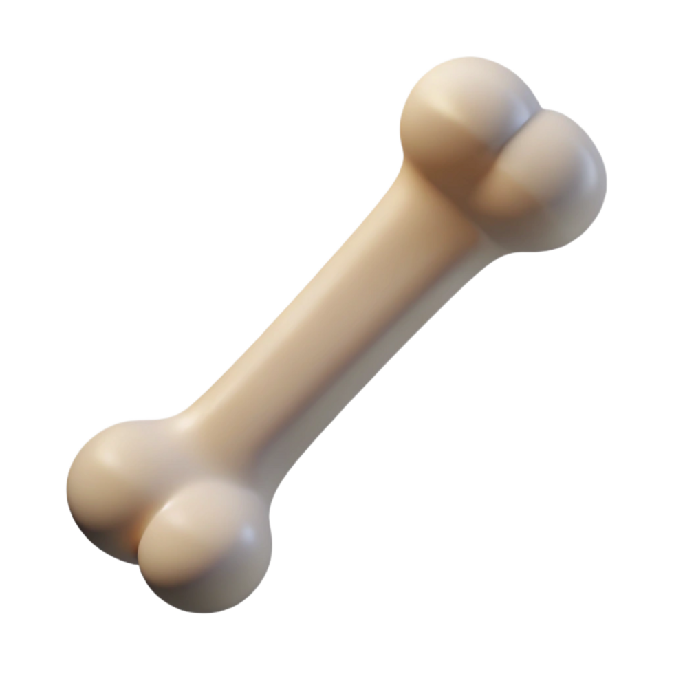 majestic celebrated Single bone NO BACKGROUND with Transparent Background. png