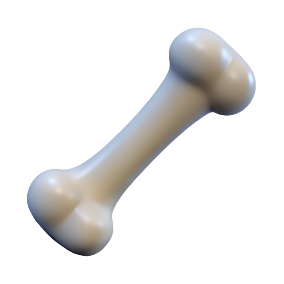 spectacular notable Single bone NO BACKGROUND with Transparent Background. png