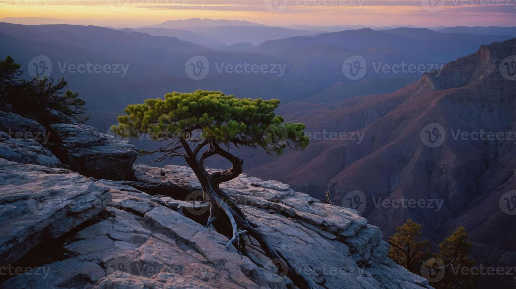 Lone Tree on Cliffside Overlooking Mountain Range at Dusk Scenery photo