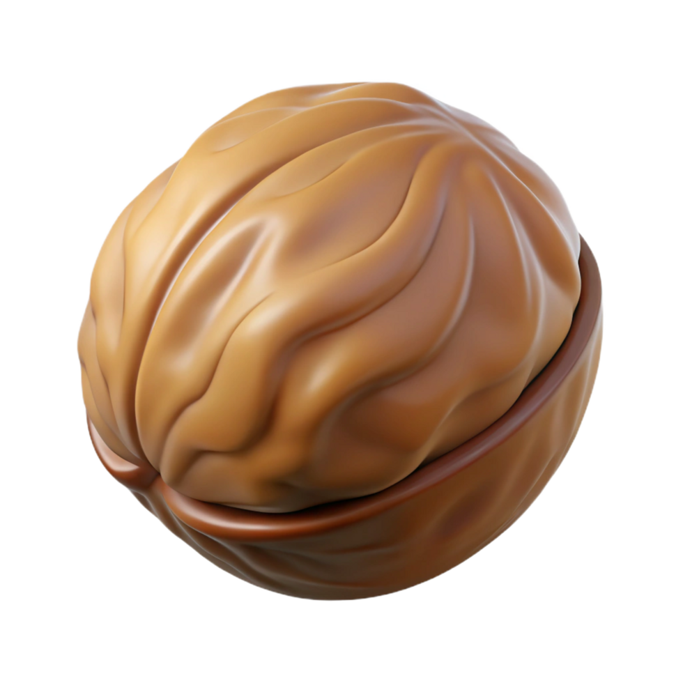reflective serene A single, brown walnut, in shell, NO BACKGROUND with Transparent Background. sharp png