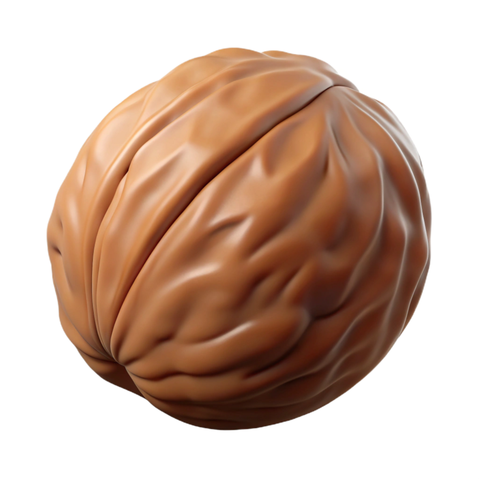 romantic serene A single, brown walnut, in shell, NO BACKGROUND with Transparent Background. impeccable png