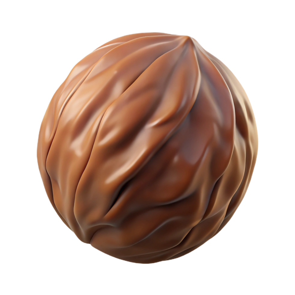 exquisite nordic A single, brown walnut, in shell, NO BACKGROUND with Transparent Background. sharp png