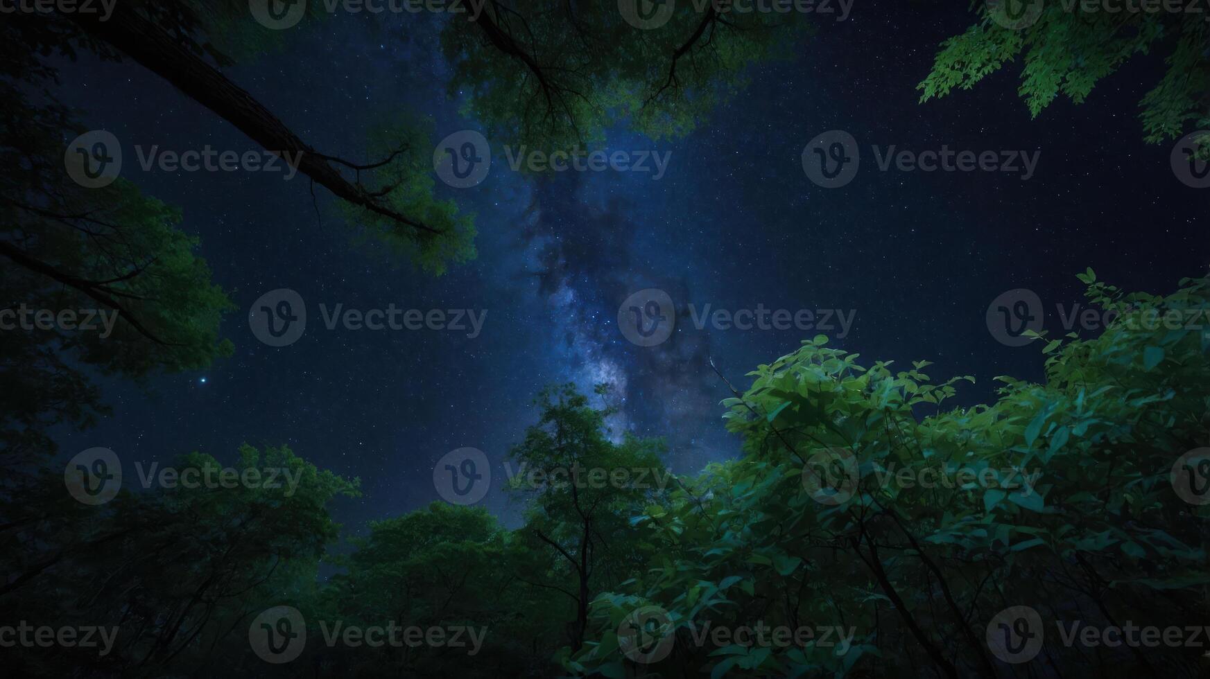 Observing Milky Way From Forest Canopy Under the Night Sky photo