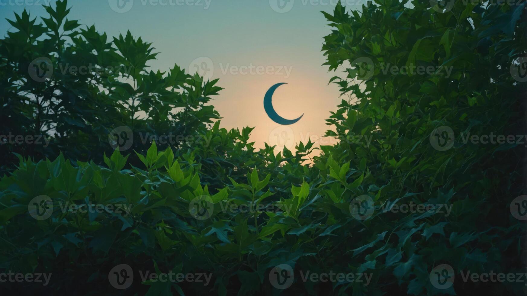 Crescent Moon Rising Behind Green Leaves at Dusk Scenic View photo