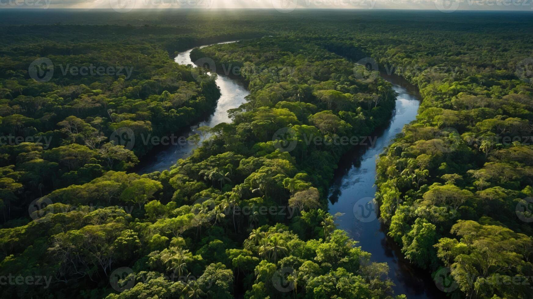 Aerial View of River Winding Through Lush Green Forest Canopy photo