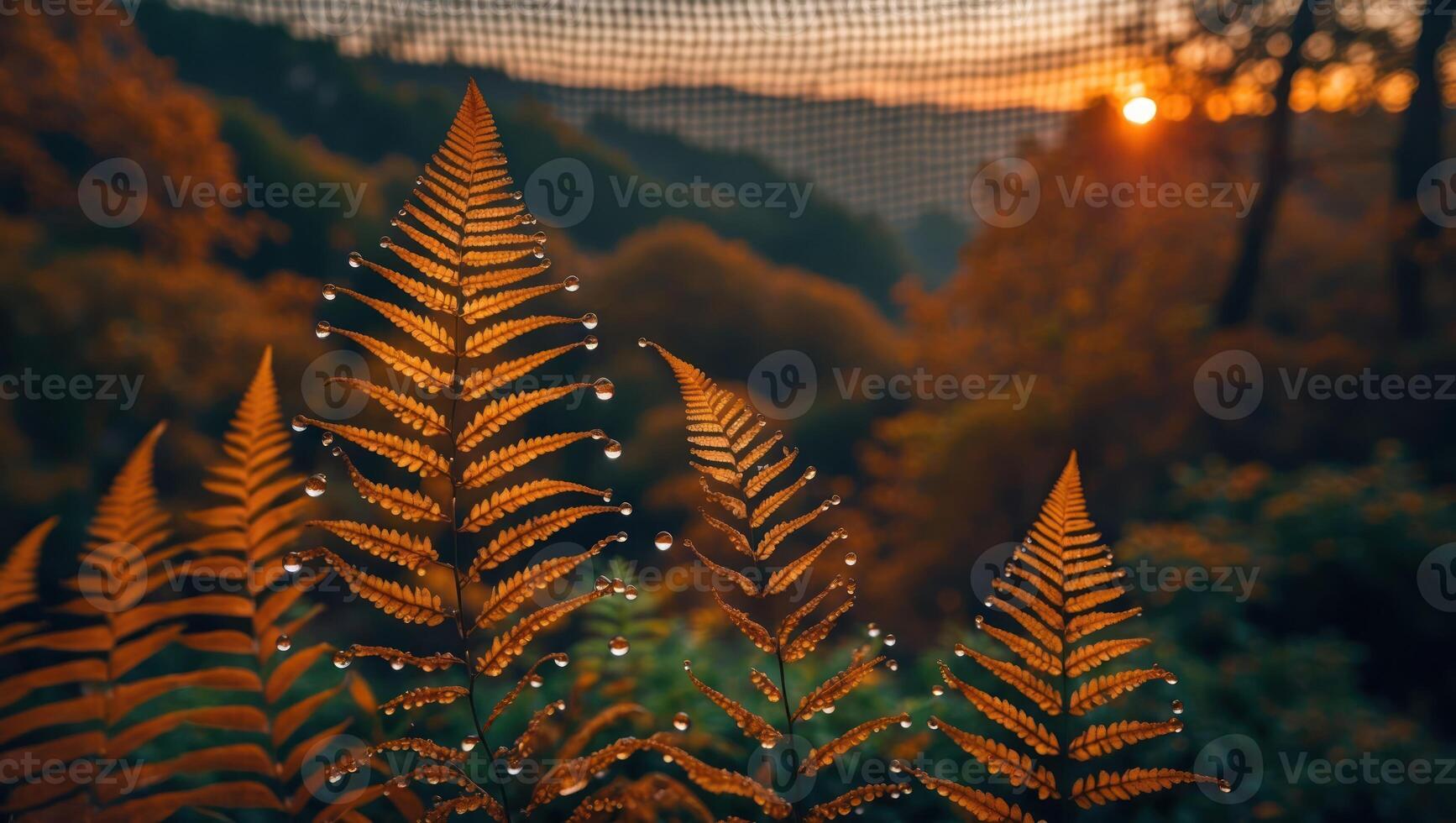 Fern Fronds with Water Droplets Against a Forest at Sunset photo