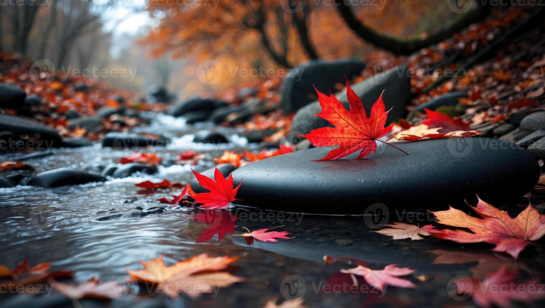 Autumn Leaves Floating on Stream Water with Rocks and Reflections photo