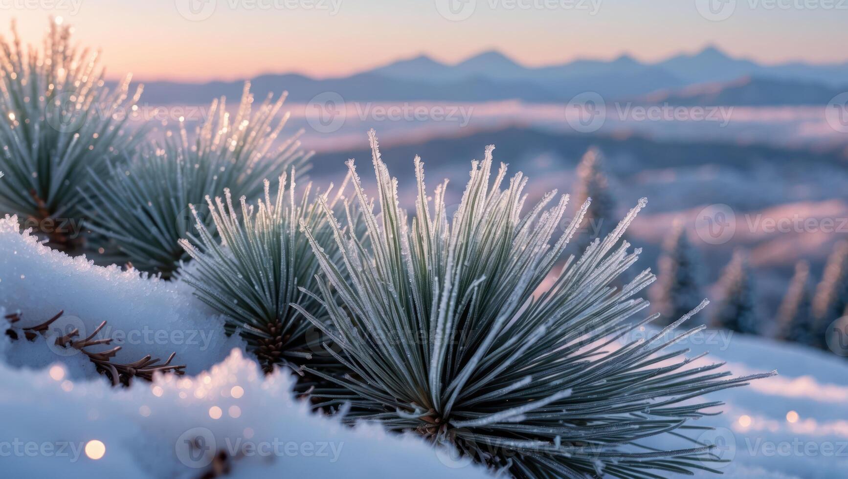 Snow Covered Pine Needles Sparkle in Winter Mountain Landscape View photo