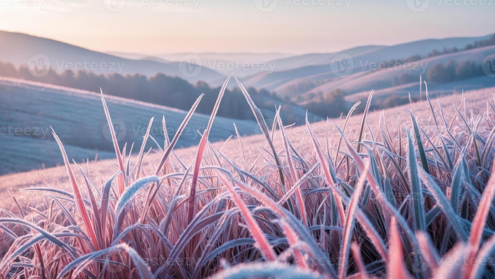 Frosty Grass Field with Rolling Hills at Sunrise Serene Landscape photo