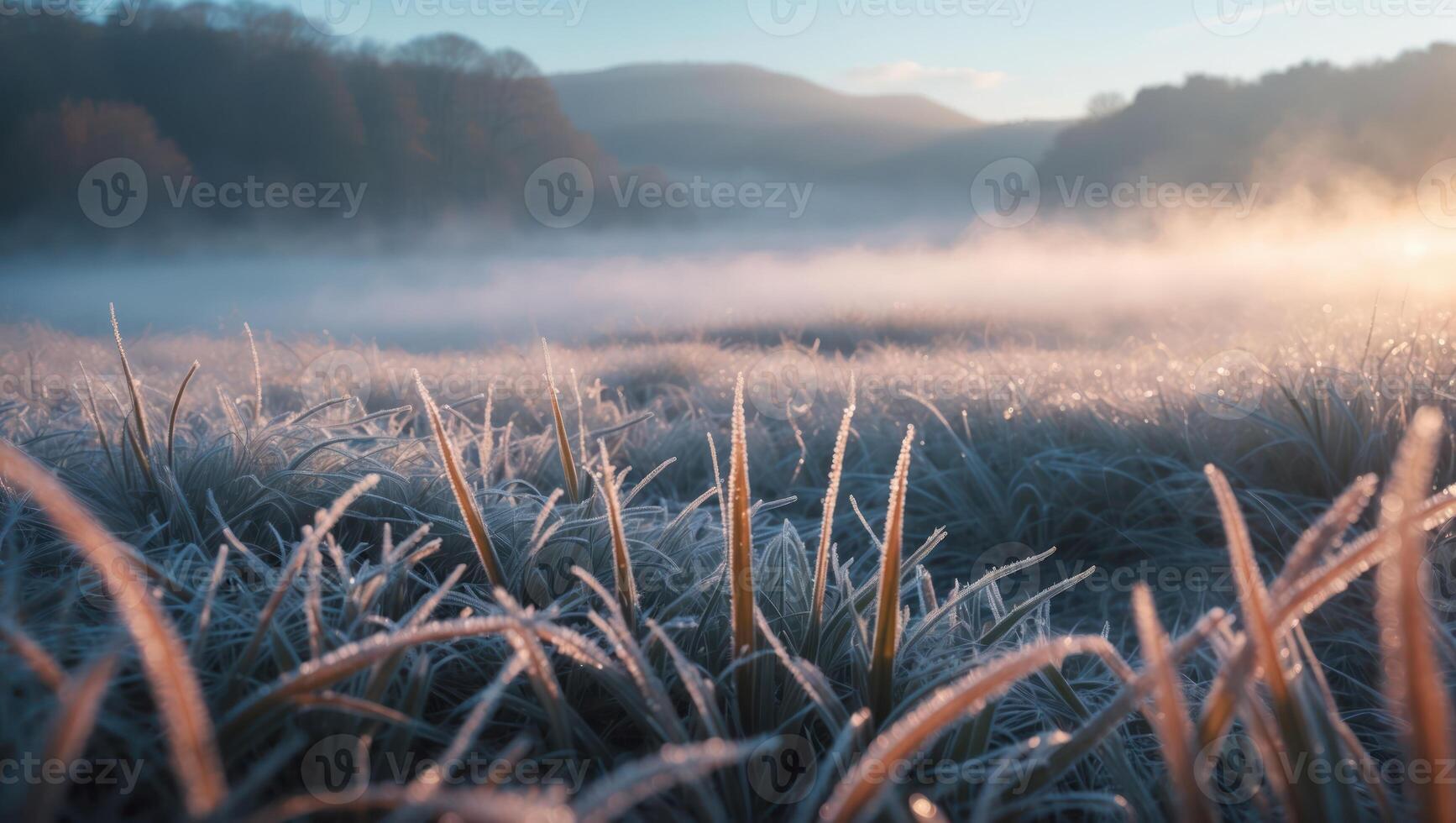 Frosty Grass Field at Dawn with Foggy Background Landscape Scene photo