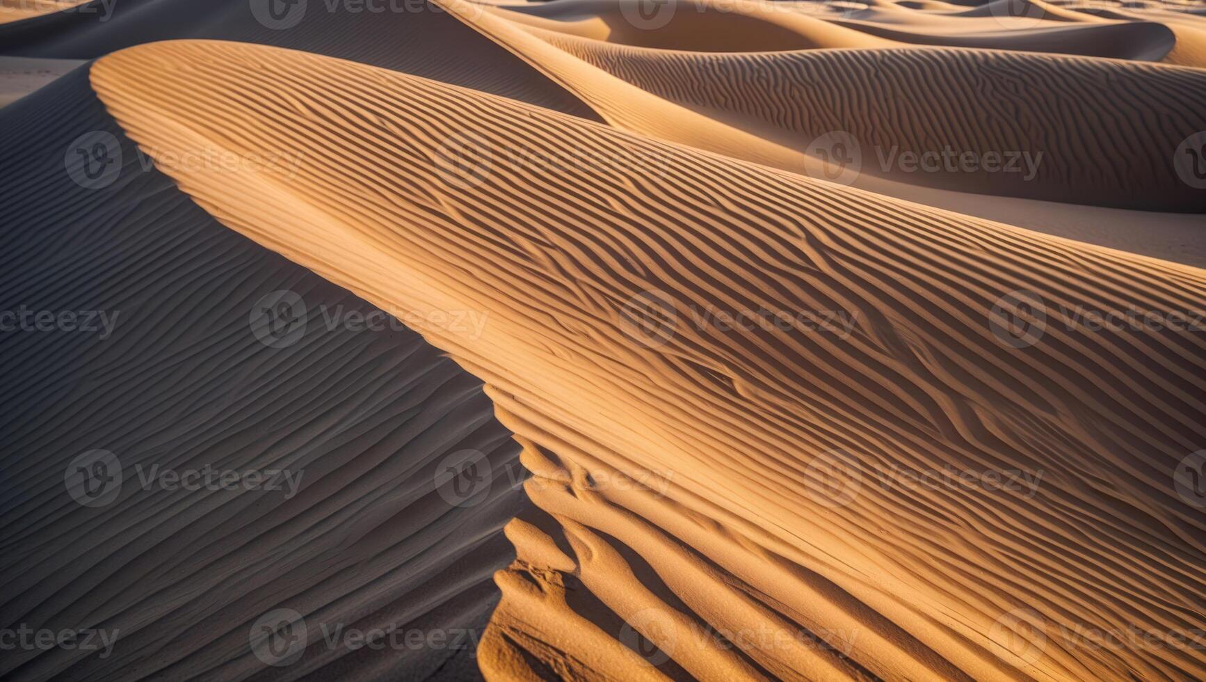 Sand Dune Patterns in Desert Landscape with Golden Hour Light photo