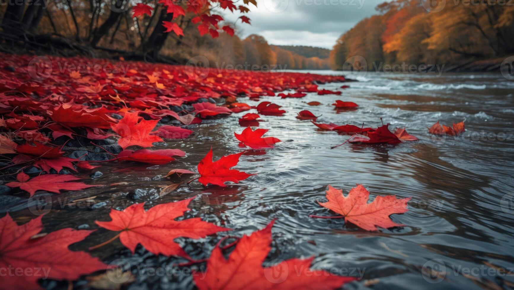 Red Autumn Leaves Floating in Gentle River Flowing Through Forest photo