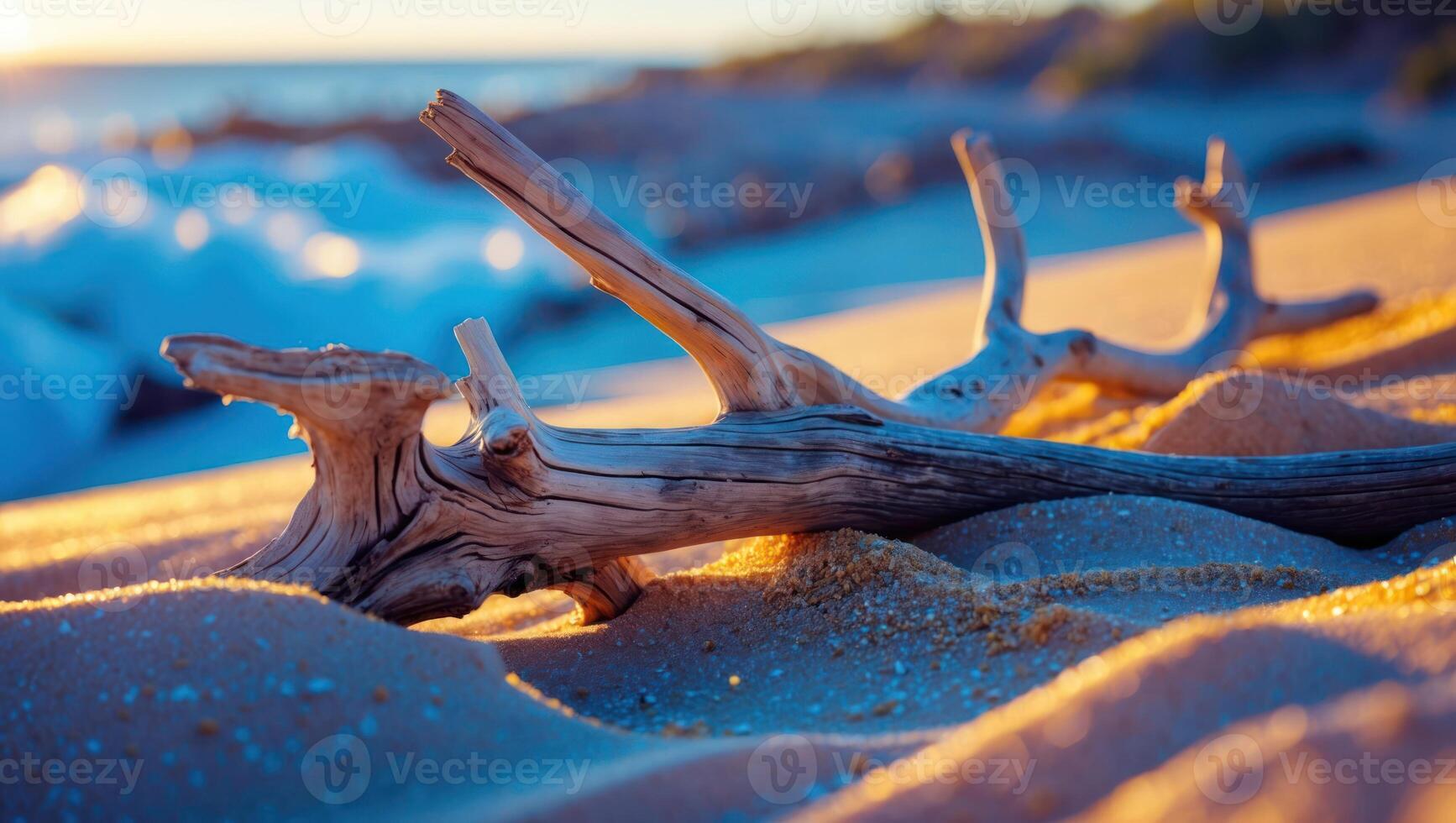 Driftwood on Sandy Beach at Sunset with Soft Waves and Light photo
