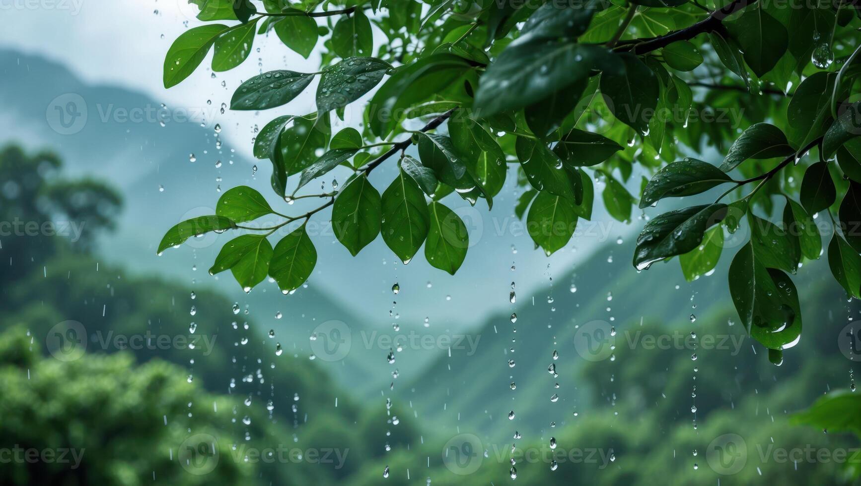 Rain Falling Through Green Leaves in a Lush Mountain Forest photo