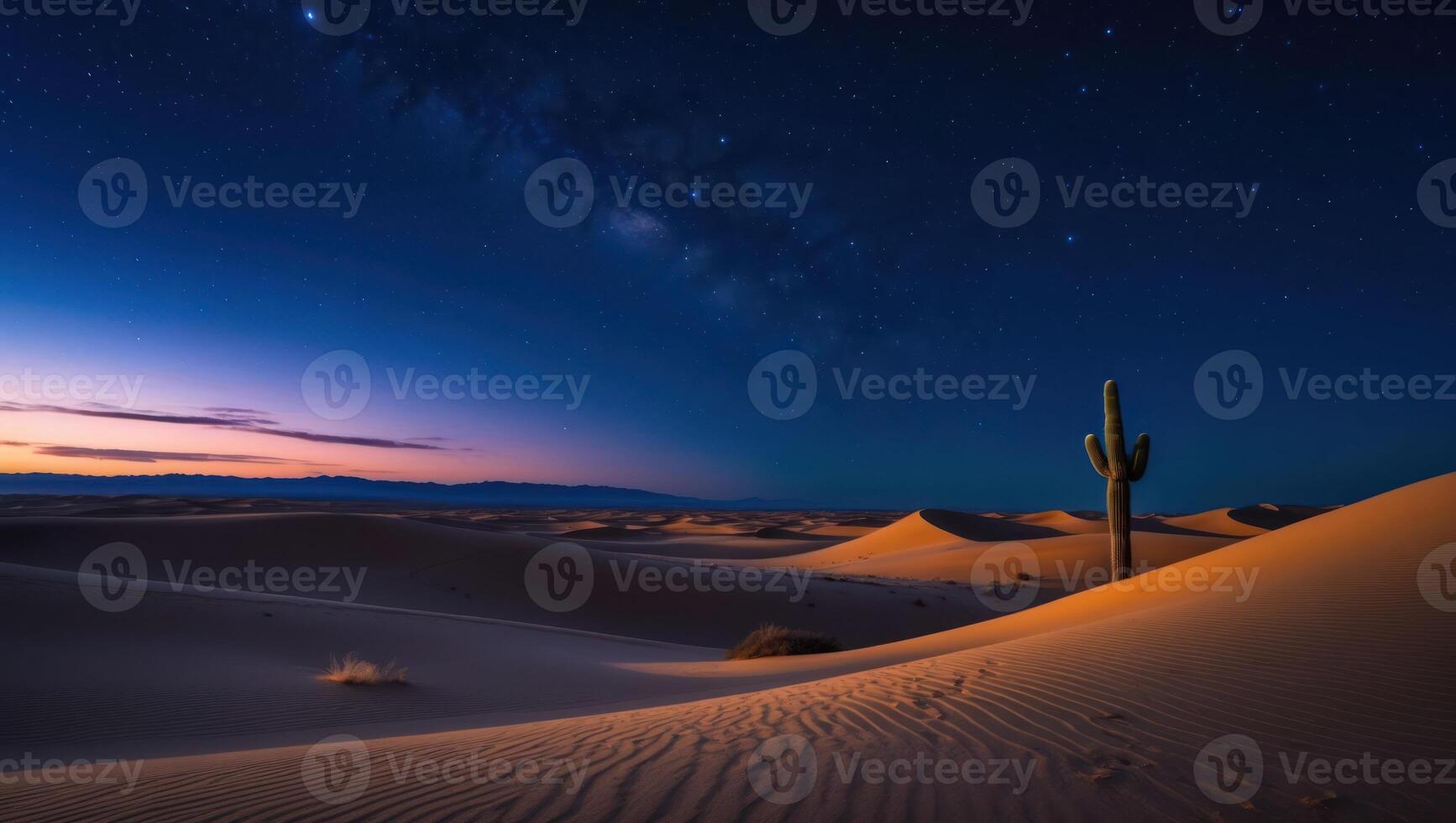 Cactus Silhouette Stands Tall in Desert Landscape Under Night Sky photo