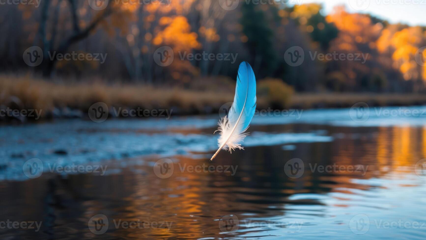 Floating Blue Feather Over Calm River with Autumnal Reflections photo