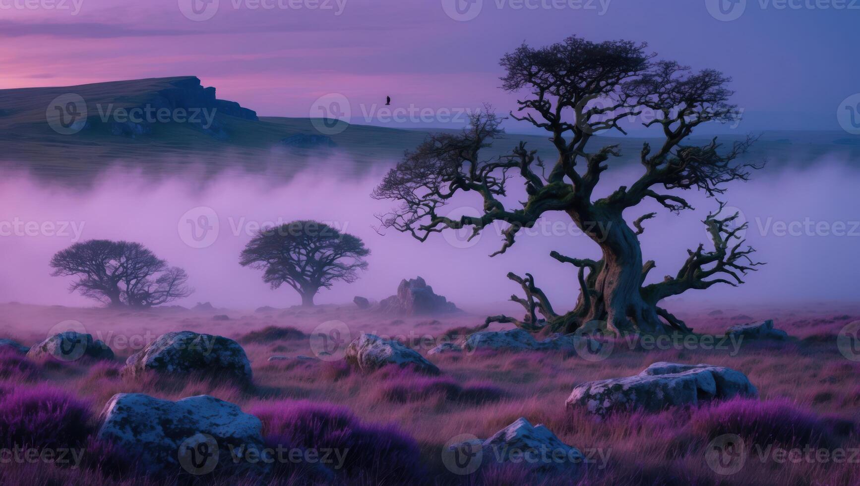 Magical Tree Landscape with Fog and Heather Field at Dusk photo
