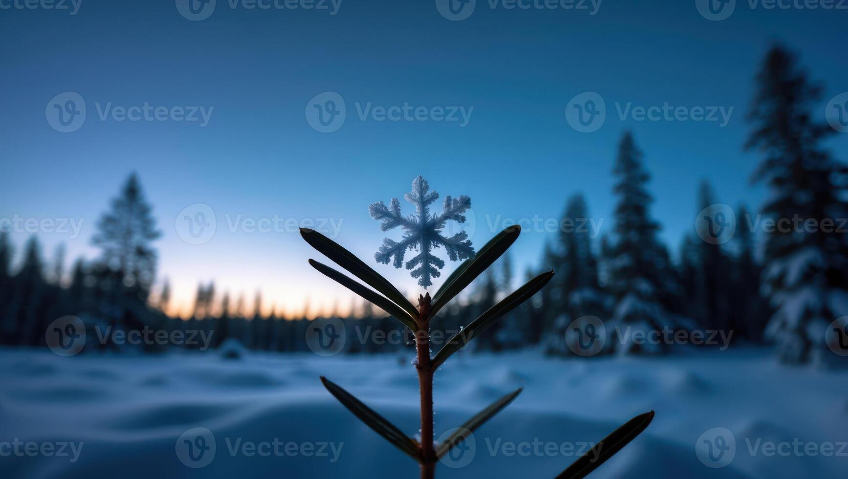 Snowflake on Plant in Snowy Winter Landscape at Dusk photo