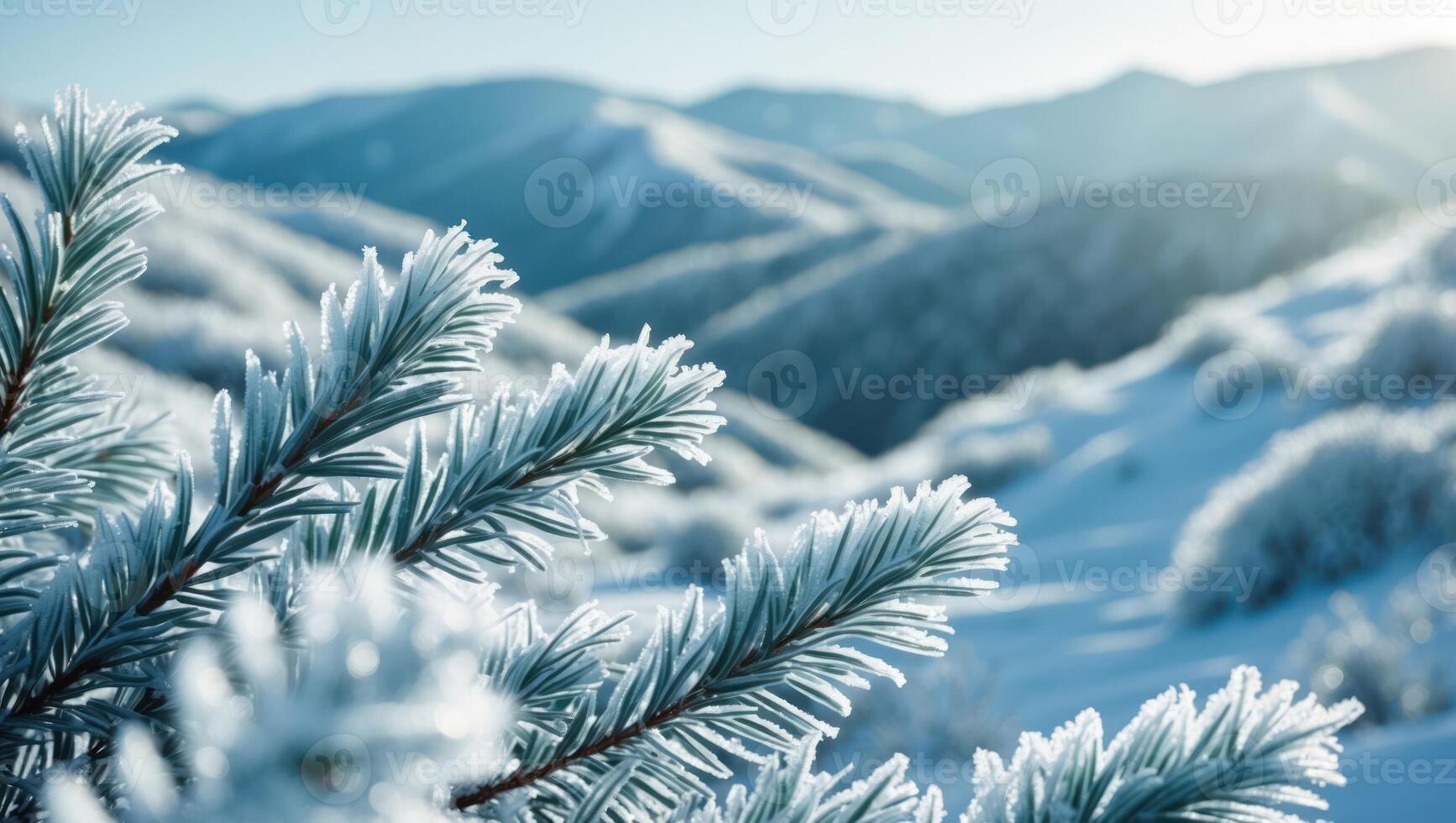 Icy Pine Branch in Winter Mountain Landscape Covered in Snow photo