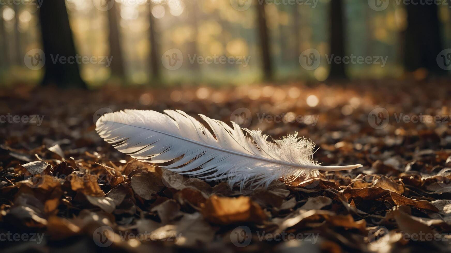 White Feather Lying on Fallen Leaves in a Golden Forest Setting photo
