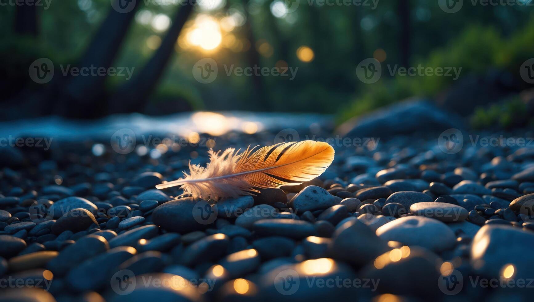 Feather Resting on River Rocks at Sunset for Serene Nature Scene photo
