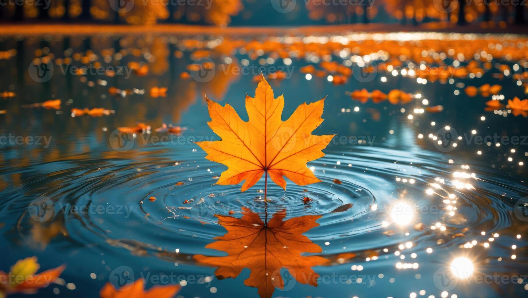 Floating Autumn Leaf in Water Creates Ripples with Reflection photo