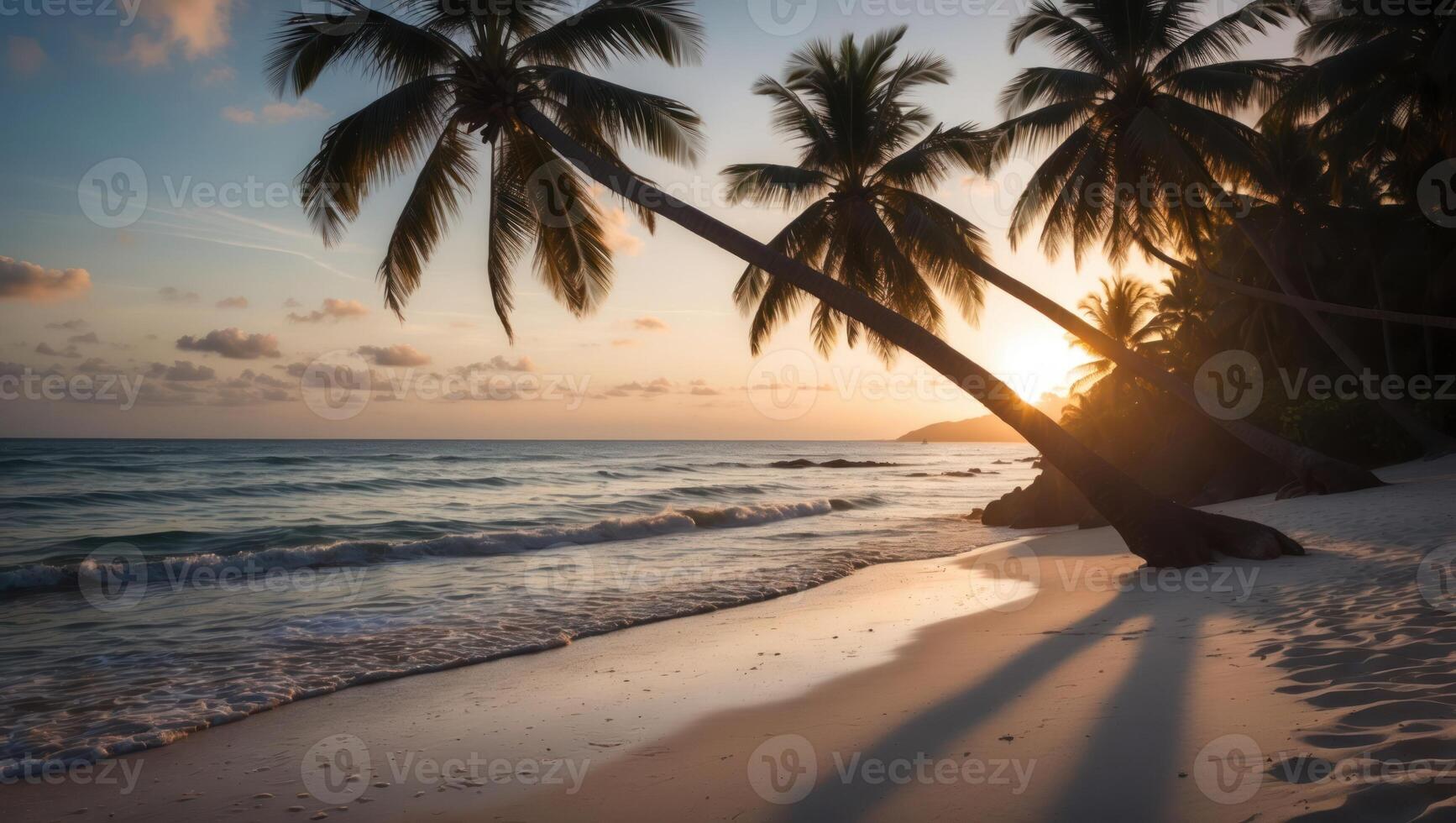 Tropical Beach with Palm Trees at Sunset Calm Ocean View photo